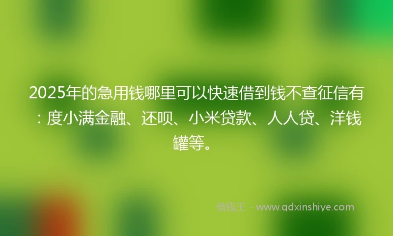 2025年的急用钱哪里可以快速借到钱不查征信有：度小满金融、还呗、小米贷款、人人贷、洋钱罐等。