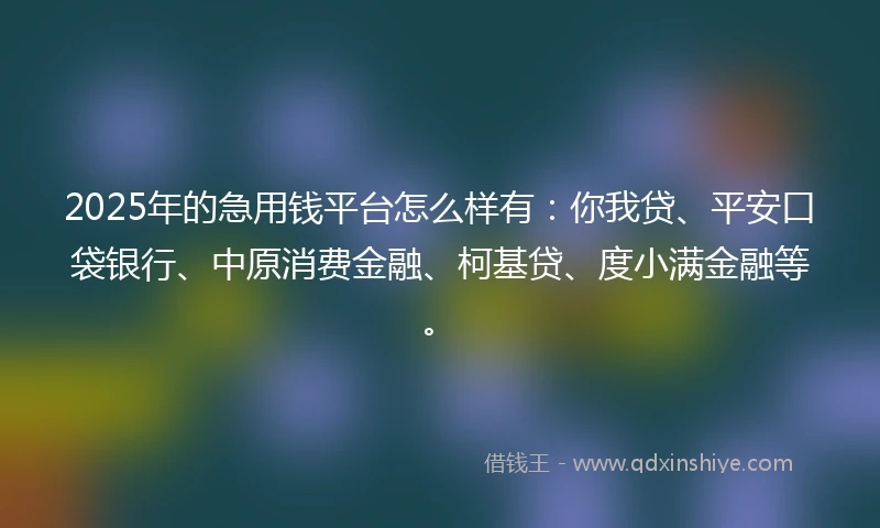 2025年的急用钱平台怎么样有：你我贷、平安口袋银行、中原消费金融、柯基贷、度小满金融等。