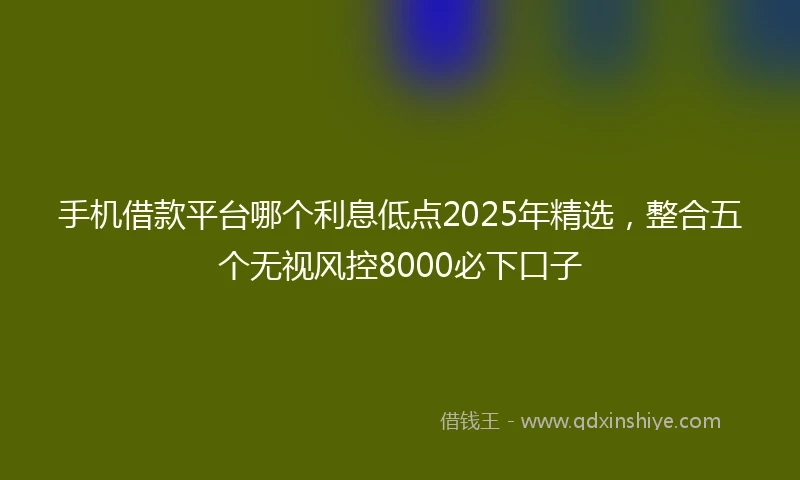 手机借款平台哪个利息低点2025年精选，整合五个无视风控8000必下口子