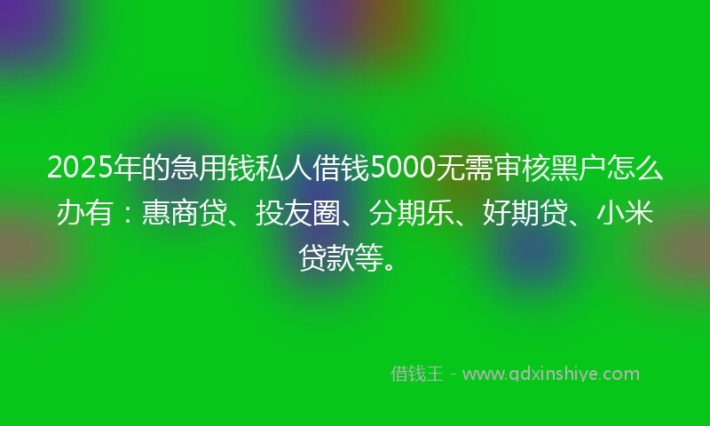 2025年的急用钱私人借钱5000无需审核黑户怎么办有：惠商贷、投友圈、分期乐、好期贷、小米贷款等。