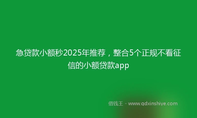 急贷款小额秒2025年推荐，整合5个正规不看征信的小额贷款app