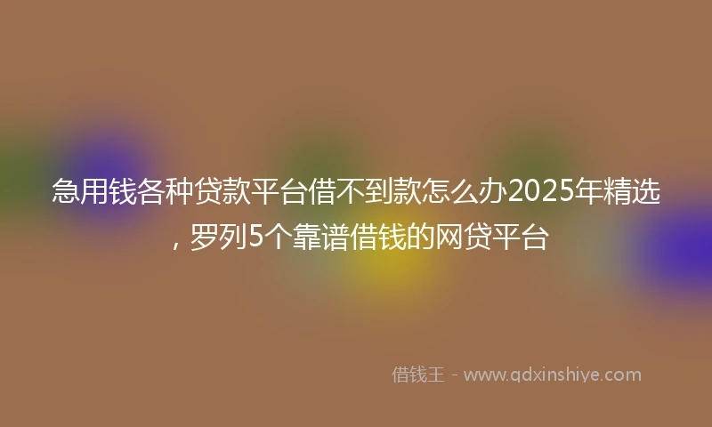 急用钱各种贷款平台借不到款怎么办2025年精选，罗列5个靠谱借钱的网贷平台