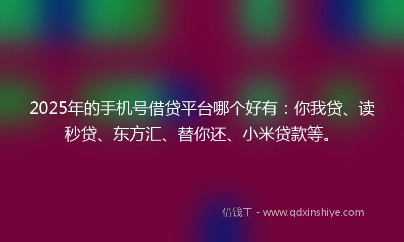 2025年的手机号借贷平台哪个好有：你我贷、读秒贷、东方汇、替你还、小米贷款等。