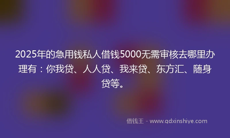2025年的急用钱私人借钱5000无需审核去哪里办理有：你我贷、人人贷、我来贷、东方汇、随身贷等。