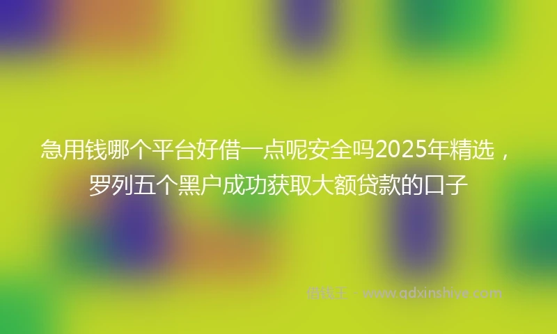 急用钱哪个平台好借一点呢安全吗2025年精选，罗列五个黑户成功获取大额贷款的口子