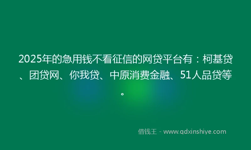 2025年的急用钱不看征信的网贷平台有：柯基贷、团贷网、你我贷、中原消费金融、51人品贷等。