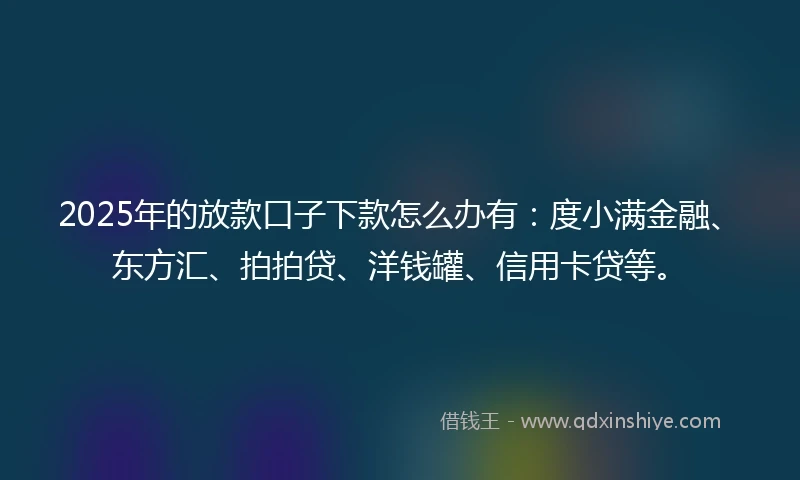 2025年的放款口子下款怎么办有：度小满金融、东方汇、拍拍贷、洋钱罐、信用卡贷等。