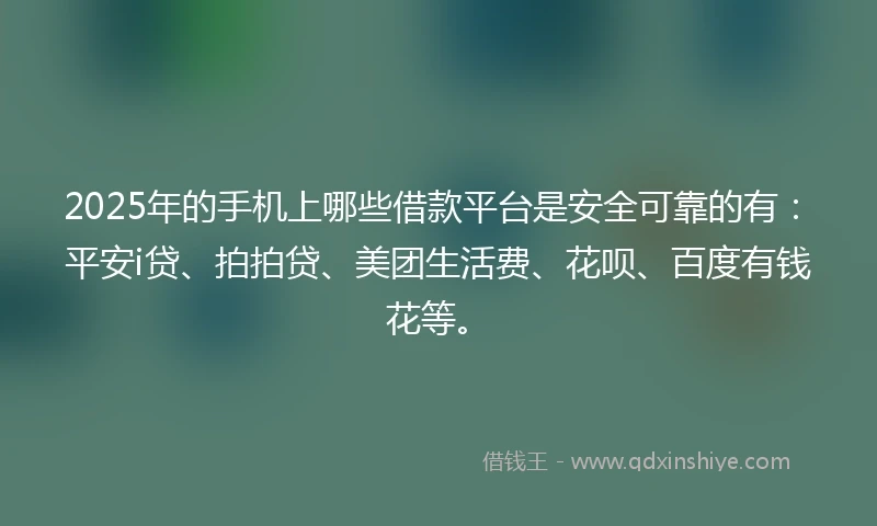 2025年的手机上哪些借款平台是安全可靠的有：平安i贷、拍拍贷、美团生活费、花呗、百度有钱花等。