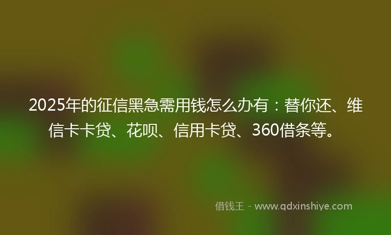 2025年的征信黑急需用钱怎么办有：替你还、维信卡卡贷、花呗、信用卡贷、360借条等。