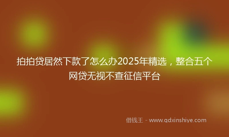 拍拍贷居然下款了怎么办2025年精选，整合五个网贷无视不查征信平台