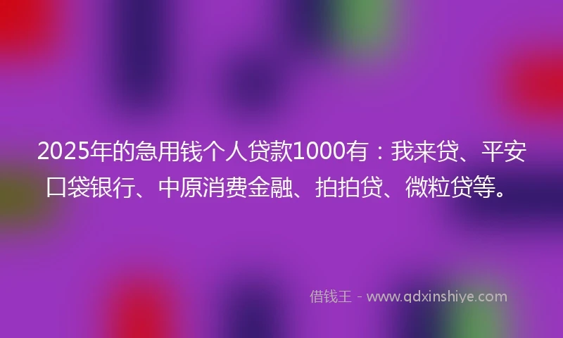 2025年的急用钱个人贷款1000有：我来贷、平安口袋银行、中原消费金融、拍拍贷、微粒贷等。