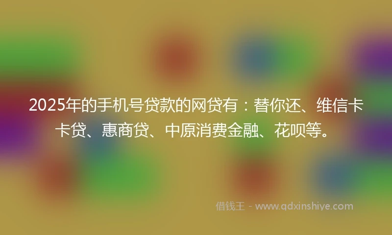 2025年的手机号贷款的网贷有：替你还、维信卡卡贷、惠商贷、中原消费金融、花呗等。