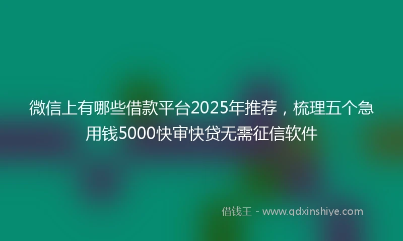 微信上有哪些借款平台2025年推荐，梳理五个急用钱5000快审快贷无需征信软件