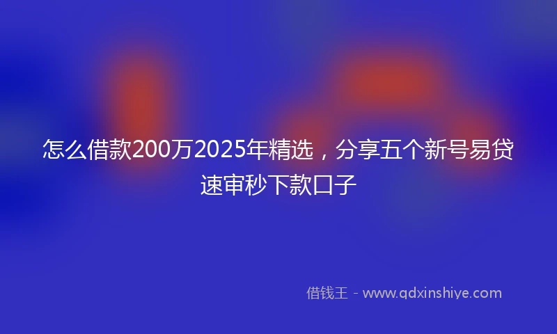 怎么借款200万2025年精选，分享五个新号易贷速审秒下款口子