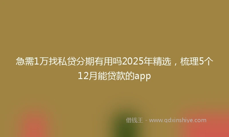 急需1万找私贷分期有用吗2025年精选，梳理5个12月能贷款的app
