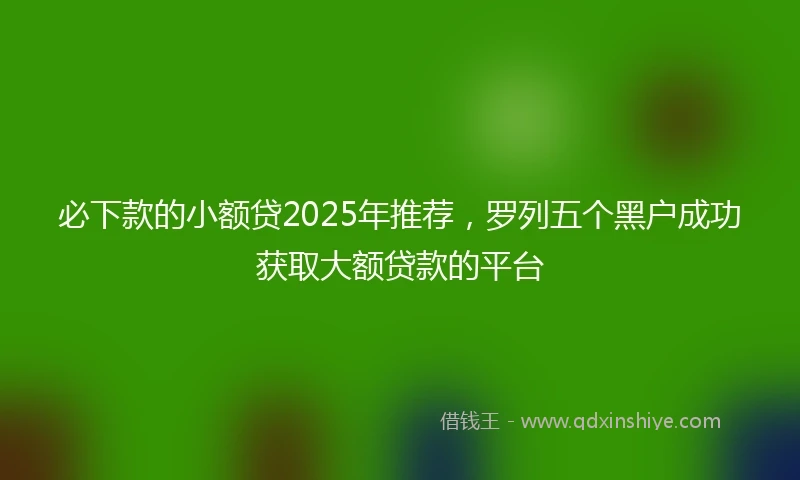 必下款的小额贷2025年推荐，罗列五个黑户成功获取大额贷款的平台