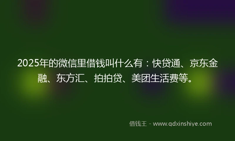 2025年的微信里借钱叫什么有：快贷通、京东金融、东方汇、拍拍贷、美团生活费等。