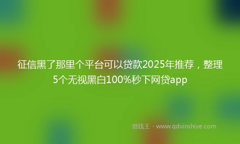 征信黑了那里个平台可以贷款2025年推荐，整理5个无视黑白100%秒下网贷app
