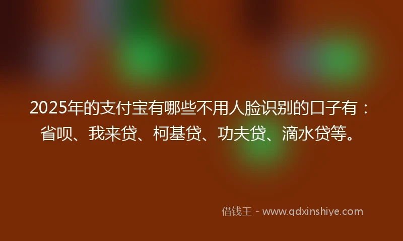 2025年的支付宝有哪些不用人脸识别的口子有：省呗、我来贷、柯基贷、功夫贷、滴水贷等。