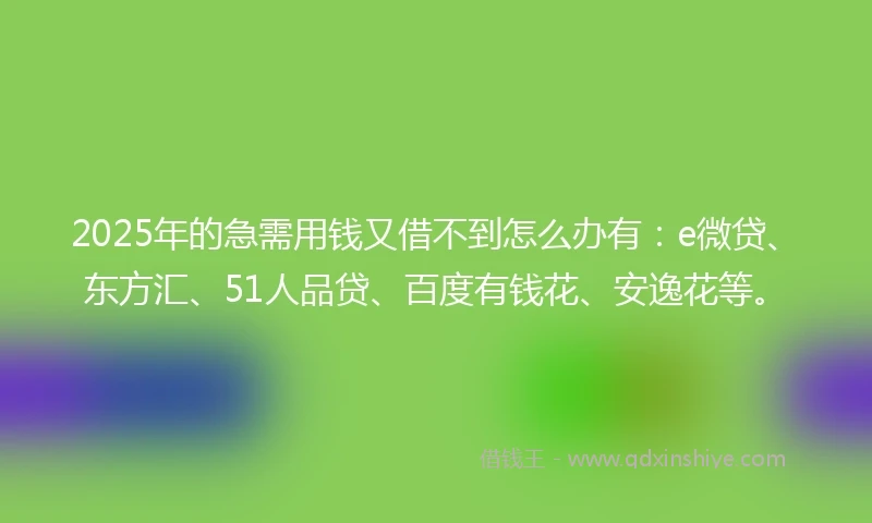 2025年的急需用钱又借不到怎么办有：e微贷、东方汇、51人品贷、百度有钱花、安逸花等。