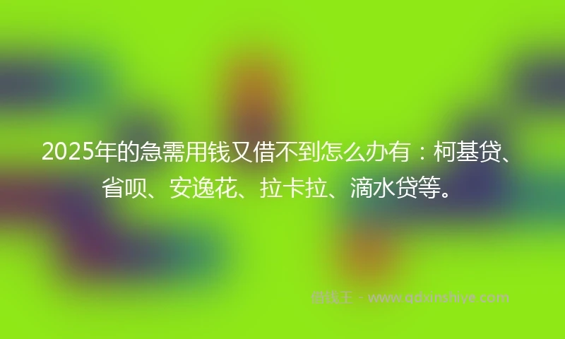 2025年的急需用钱又借不到怎么办有：柯基贷、省呗、安逸花、拉卡拉、滴水贷等。