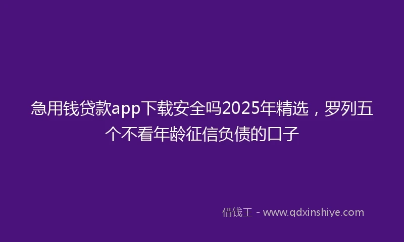急用钱贷款app下载安全吗2025年精选，罗列五个不看年龄征信负债的口子