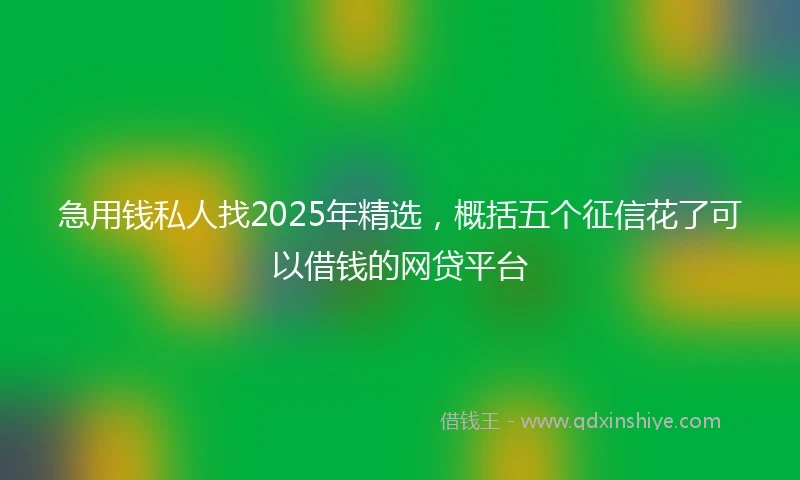 急用钱私人找2025年精选，概括五个征信花了可以借钱的网贷平台
