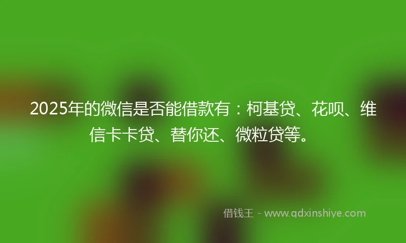 2025年的微信是否能借款有：柯基贷、花呗、维信卡卡贷、替你还、微粒贷等。