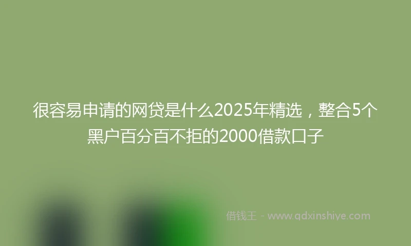 很容易申请的网贷是什么2025年精选，整合5个黑户百分百不拒的2000借款口子