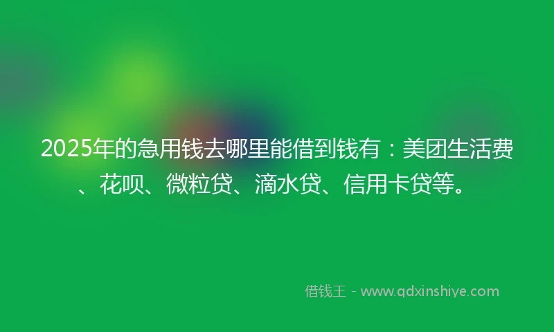 2025年的急用钱去哪里能借到钱有：美团生活费、花呗、微粒贷、滴水贷、信用卡贷等。