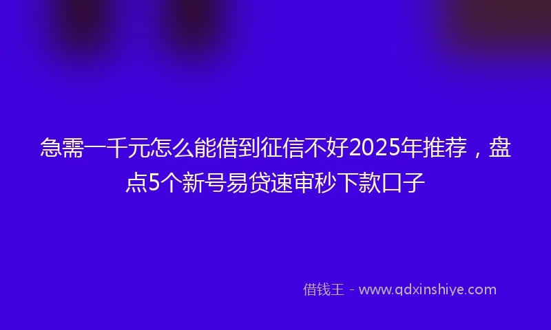 急需一千元怎么能借到征信不好2025年推荐，盘点5个新号易贷速审秒下款口子