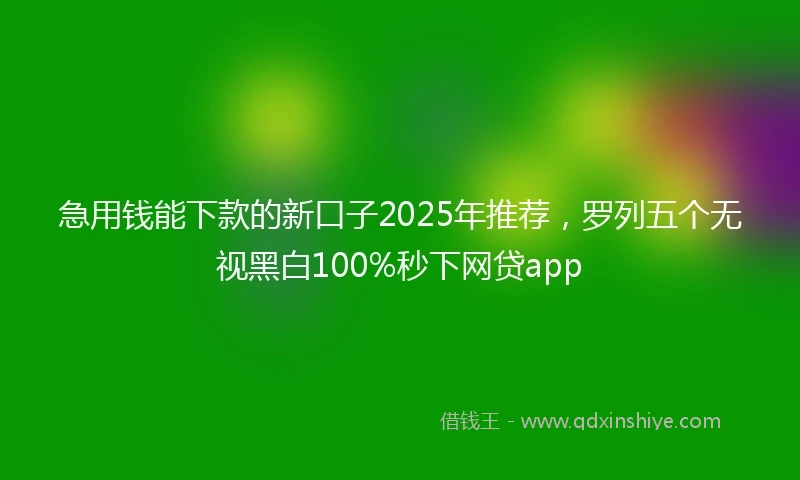 急用钱能下款的新口子2025年推荐，罗列五个无视黑白100%秒下网贷app