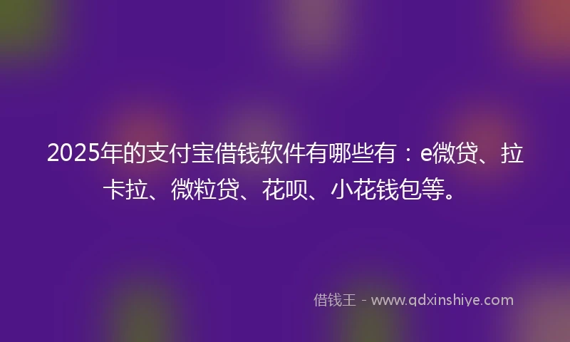 2025年的支付宝借钱软件有哪些有：e微贷、拉卡拉、微粒贷、花呗、小花钱包等。