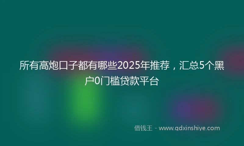 所有高炮口子都有哪些2025年推荐，汇总5个黑户0门槛贷款平台