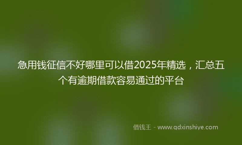 急用钱征信不好哪里可以借2025年精选，汇总五个有逾期借款容易通过的平台