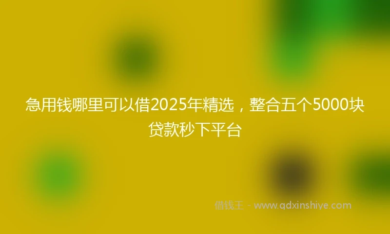 急用钱哪里可以借2025年精选，整合五个5000块贷款秒下平台