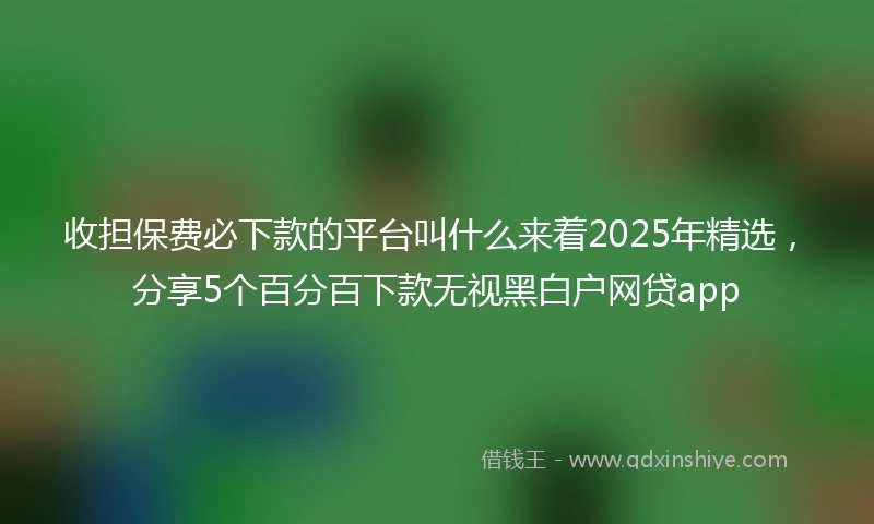 收担保费必下款的平台叫什么来着2025年精选，分享5个百分百下款无视黑白户网贷app