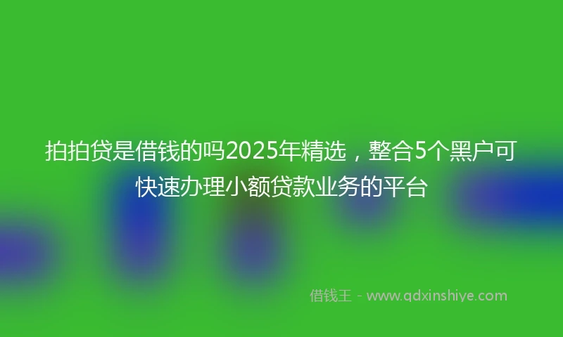 拍拍贷是借钱的吗2025年精选，整合5个黑户可快速办理小额贷款业务的平台