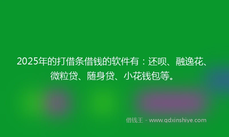 2025年的打借条借钱的软件有：还呗、融逸花、微粒贷、随身贷、小花钱包等。