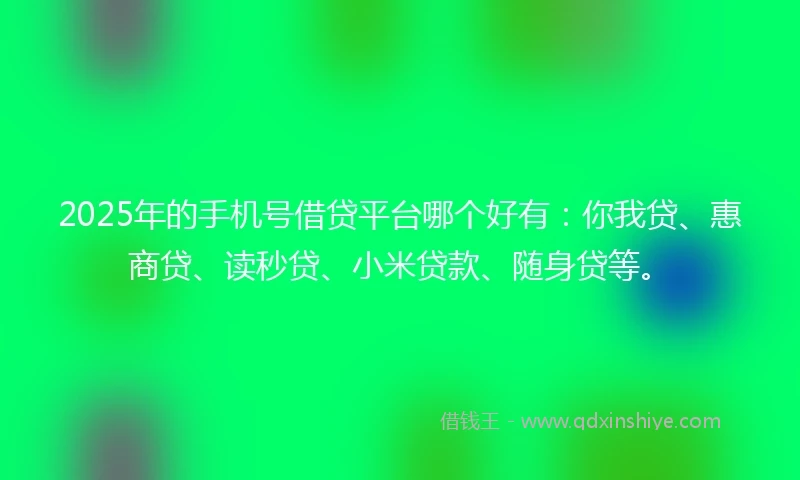 2025年的手机号借贷平台哪个好有：你我贷、惠商贷、读秒贷、小米贷款、随身贷等。
