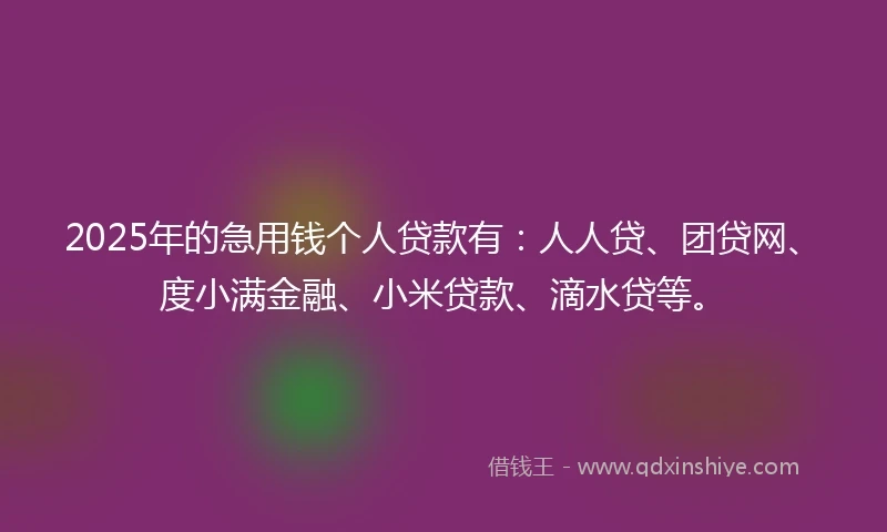 2025年的急用钱个人贷款有：人人贷、团贷网、度小满金融、小米贷款、滴水贷等。