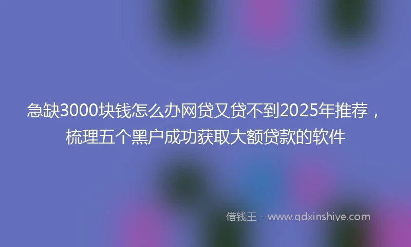 急缺3000块钱怎么办网贷又贷不到2025年推荐,梳理五个黑户成功获取大额贷款的软件