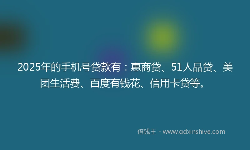 2025年的手机号贷款有：惠商贷、51人品贷、美团生活费、百度有钱花、信用卡贷等。
