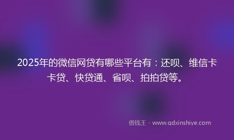 2025年的微信网贷有哪些平台有：还呗、维信卡卡贷、快贷通、省呗、拍拍贷等。