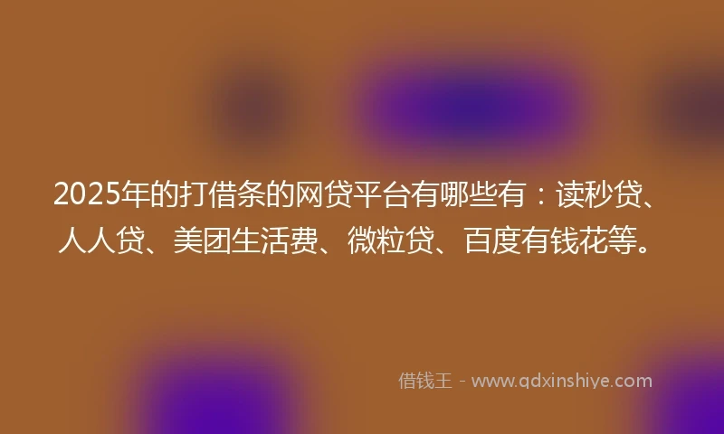 2025年的打借条的网贷平台有哪些有：读秒贷、人人贷、美团生活费、微粒贷、百度有钱花等。