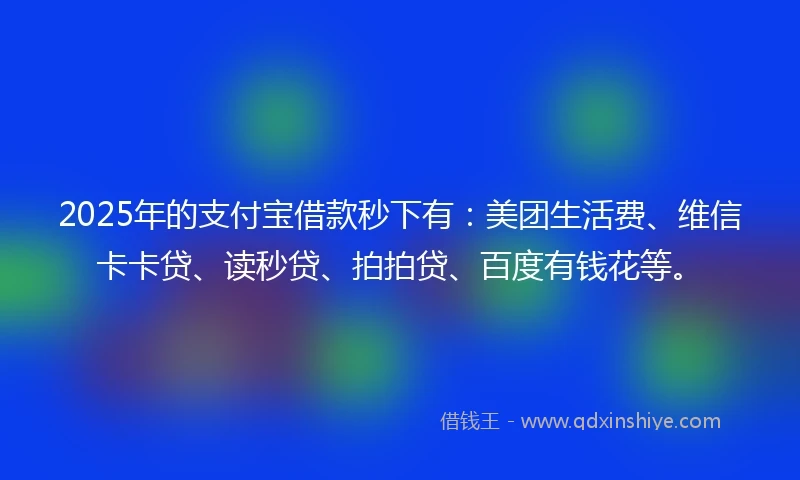 2025年的支付宝借款秒下有：美团生活费、维信卡卡贷、读秒贷、拍拍贷、百度有钱花等。