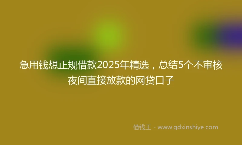 急用钱想正规借款2025年精选，总结5个不审核夜间直接放款的网贷口子