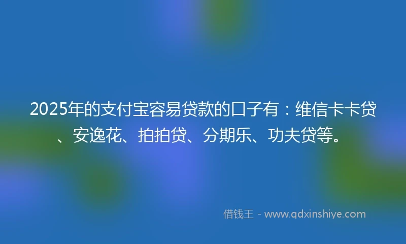 2025年的支付宝容易贷款的口子有：维信卡卡贷、安逸花、拍拍贷、分期乐、功夫贷等。