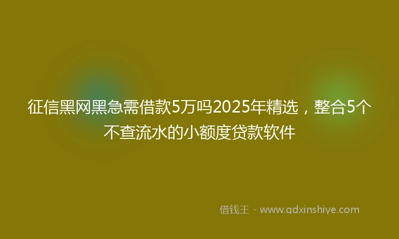 征信黑网黑急需借款5万吗2025年精选，整合5个不查流水的小额度贷款软件