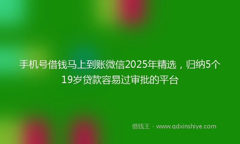 手机号借钱马上到账微信2025年精选，归纳5个19岁贷款容易过审批的平台
